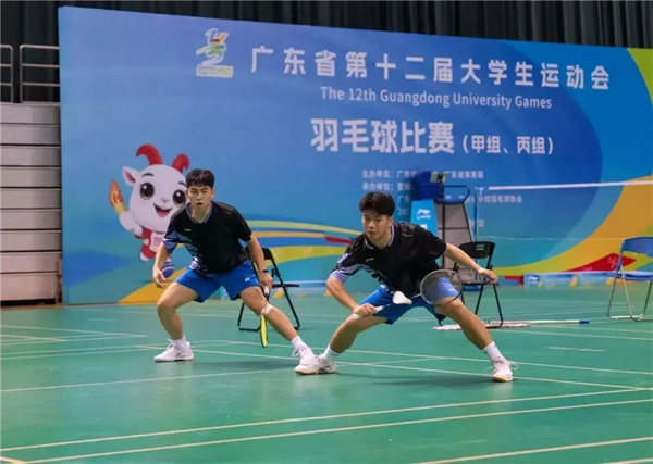 羽毛球对相关图片1.png